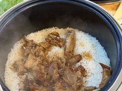 -一煲鸽