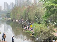 -重庆彩云湖湿地公园