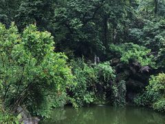-杭州西湖风景名胜区-三生石