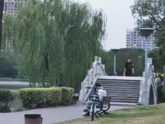 -高子水居