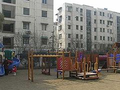 -上海浦东新区民办小白鸽幼儿园