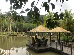 -呀诺达热带雨林