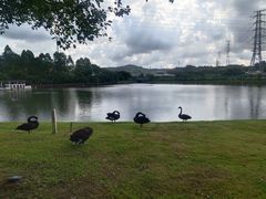 -中国移动南方基地