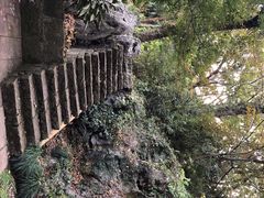 -嘉龙茶庄
