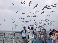 -海驴岛(荣成市)