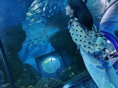 -大明湖海底世界