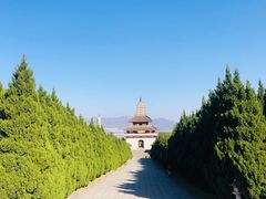-三塔倒影公园