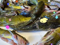 -融泽漁悦三只耳鱼火锅(南郑大道店)