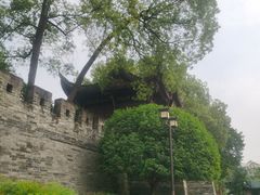 -桂湖森林公园