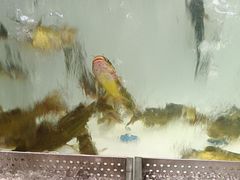 -金滏山烤肉·海鲜·火锅自助餐厅(襄阳万达店)