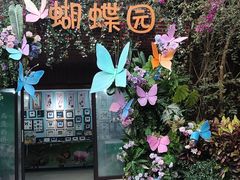 -野象谷景区