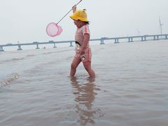 -南汇新城海滩