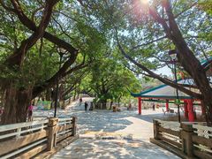 -屯门公园