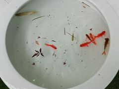 -蔡田福佛跳墙(官驿街店)