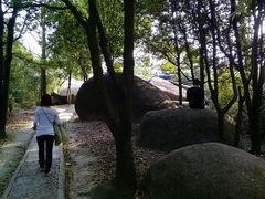 楼梯-火炉山森林公园