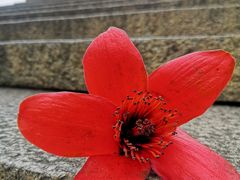 -晓港公园