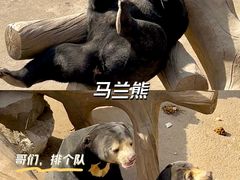 -北京野生动物园