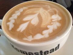 拿铁-MEET COFFEE婉约咖啡(宝善公寓店)