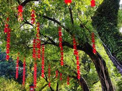 -广州中山纪念堂