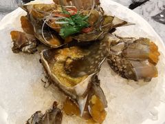 -皇朝海鲜酒店