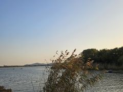 -渤公岛生态公园