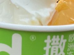 -Salud撒露欧洲冻酸奶(蓝色港湾店)