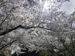 -白塘生态植物园