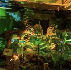 -恐龙探索乐园(磁器口店)