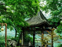 -重庆彩云湖湿地公园
