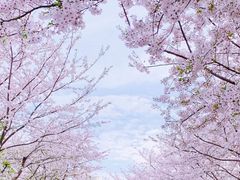 -静安雕塑公园