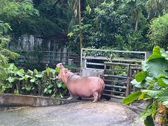 -深圳野生动物园