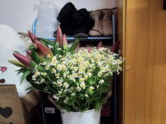 -循礼门鲜花花市(武汉循礼门店)