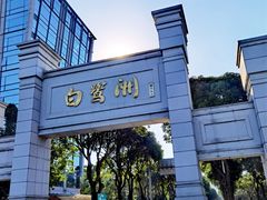-白鹭洲公园
