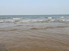 -渡海小渔村.老辈日照菜