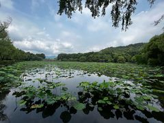 -印象西湖·最忆是杭州实景演出