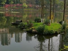 -重庆彩云湖湿地公园