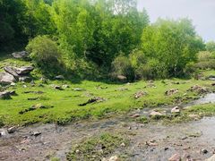 -天台山赤城山景区
