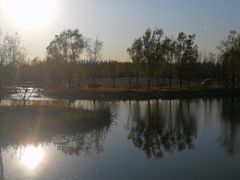 -东郊湿地公园