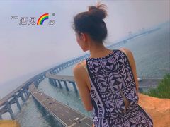 -星海湾跨海大桥