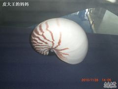 -上海海洋大学鱼文化博物馆(军工路校区)