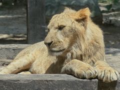 -广州长隆野生动物世界