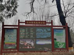 -北京鹫峰国家森林公园