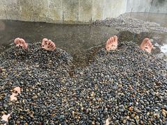 -天赐温泉
