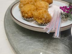 -丁老爷子苏香圆