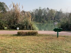 -桤木河湿地公园