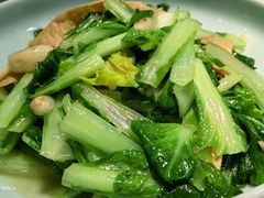 -洞庭家宴·头牌甲鱼(广渠门店)