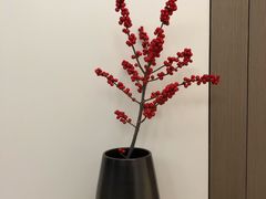 -溪岸路花鸟市场