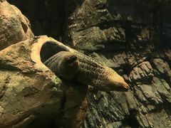 -珠海长隆海洋王国