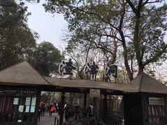 -渣滓洞