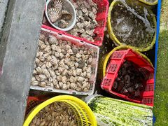 -鸿港海鲜批发市场